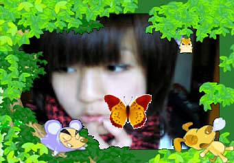 webcam frame